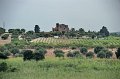 17.6.2014 CITTADELLA DI VENDICARI (106)